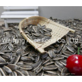 Cheap Sunflower Seeds China Raw Seeds